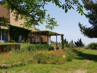 Appartement dans mas avec piscine privée sans vis a vis - 7