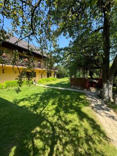 Casa Eliza - Ocna Şugatag - 9