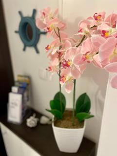 Apartman Dani - Sutivan - Sutivan - 9