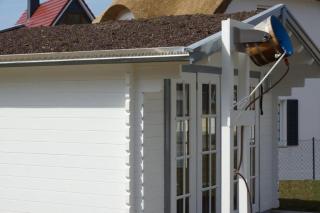 Reet-Hus Hanbutt - Glowe - 8