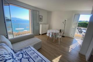 T2 with 2 balconies by the sea - Antibes - 7