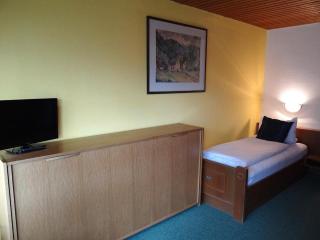 Alpenhotel Waidmannsheil - Hinterstein - 1