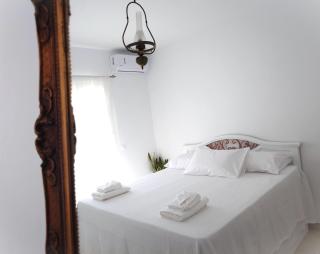 Plectranthus Residence Paros - Parikia - 4