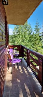 Green Pine House - Žabljak - 4