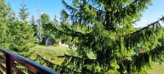 Green Pine House - Žabljak - 2