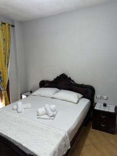 Gega's Apartment - Gjirokastra - 1