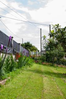 Casa Los Naranxales Gijon - 7