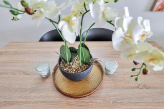 Luxury in Litchfield Street - Heart of the CBD - 7