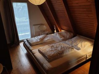 Ferienhaus Storchennest - Fedderwarderdeich - 1