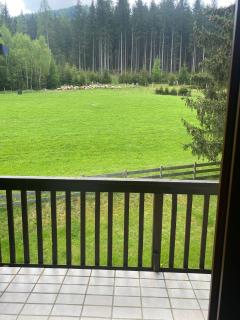 Mai-Brunn Alm Appartements, Maibrunnenweg 34-36 - 9