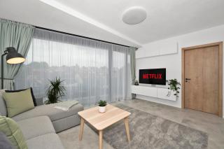 Fully equipped Apartments with Terraces, Free garage parking, Netflix & AC - by Apartmány Šlapanice cz - Šlapanice - 3