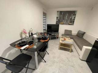 Agréable et spacieux appartement - Schiltigheim - 8