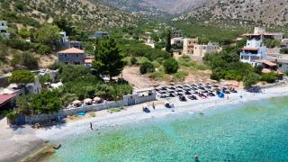 Ktima Zaxarias - Kokkala - 5