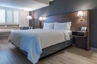 Holiday Inn Hotel & Suites St.Catharines-Niagara by IHG - St. Catharines - 6