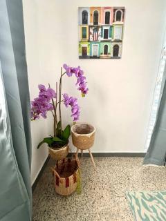 Stylish remodeled 3BR with yard near airport & beaches - Carolina - 8