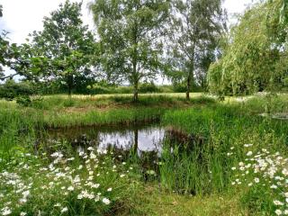 Rustic Retreat Guest Lodge - Littleport - 8