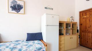 Welcomely - Corallo Blu - 3