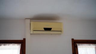 Welcomely - Corallo Blu - 2