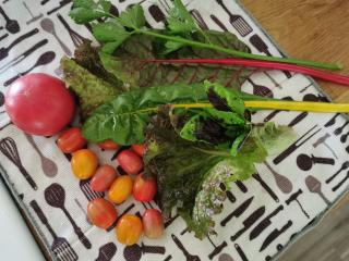 Apartament Wiejski w Siedlisku pod Orzechem - 1