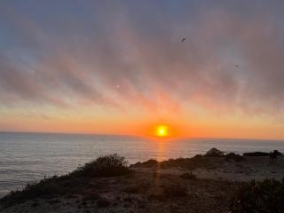 PARAÍSO DA SERVA - Casas Courela da Serva e Flor do Rosto I e II - 1