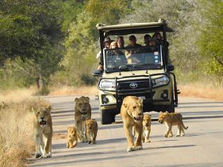Ubuntu Bed and Breakfast - Marloth Park - 0
