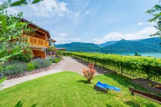 Weinhof am See - Caldaro - 0