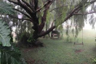 Casa dos chorões - 9