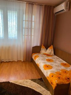 Apartament Darya - Baile Felix - 8
