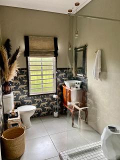 Fever Tree Guesthouse - Hillcrest - 6