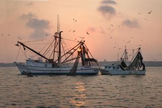 463 Captain's Walk - 1
