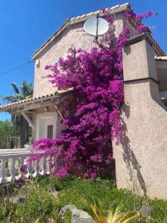 Chambre à Marseillan Plage - 1