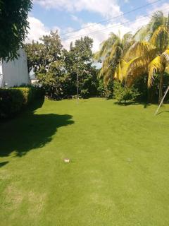 Art House - Kingston - 4