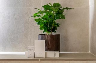 Le Monsieur By Sweett - Paris - 2