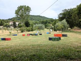 Le Zie Guest House - Broccostella - 7