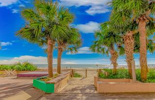 Updated Ocean Front Queen Suite- Sea Mist 20505 - Myrtle Beach - 2