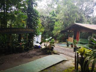 Santuario Ecologico Monteverde - Monteverde - 7