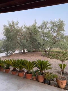Villa Anna - Andria - 5