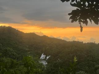 El Mirador y el Nido - 8