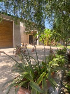 Los Almendros - Torrenostra - 6