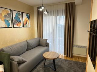 Apartman A79 Zlatibor - Zlatibor - 4