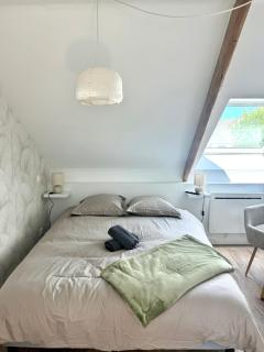 Suite Au grand air - 9