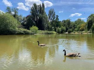 Jolie Studette équipée sur jardin, st mandé bois - 2