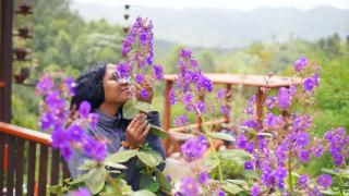 Villa Cantar de Otoño - Constanza - 5