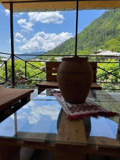 goch's house - Borjomi - 1