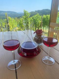 Vineyard Cottage Rigelj - 4