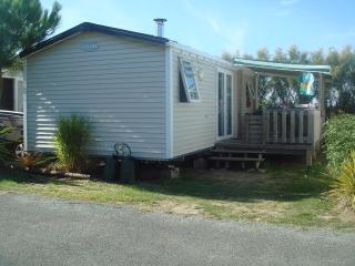 Camping Paradis Le Grand' R - La Faute-sur-Mer - 2