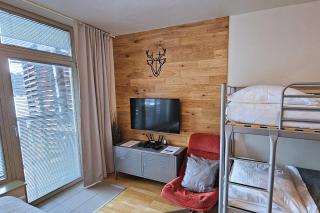 ENJOYHARRACHOV - Atraktivní slunné studio Čertovka v centru Harrachova s garážovým parkováním, Wifi-WLAN, SAT, herní konzolí, Netflix zdarma a nejkrásnějším výhledem na Čertovu horu s areálem skokanských můstků a sjezdovku - Harrachov - 7