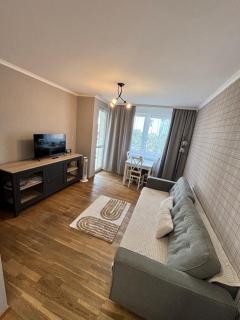 APARTAMENT Alexa Zasanie - Przemyśl - 0