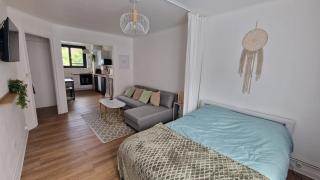 Grand studio Lille centre - 4