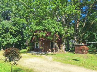 Toma pirts VIDĒJĀ - 3